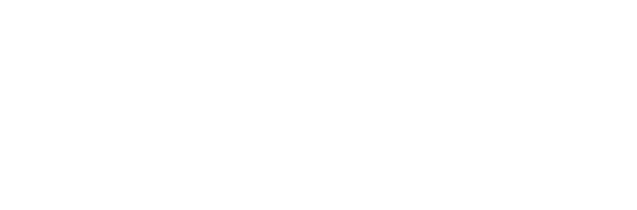 vše vědomí